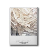 Kristal Canvas Tablo MİND162