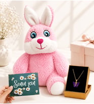 Sevimli Pembe Peluş Tavşan ve Altın Kaplama Kelebek Kadın Kolye Hediye Seti – Sevgiliye Arkadaşa Hediye (D1)