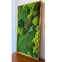 Archimoss Design Mumyalanmış Mix Yosun Tablo