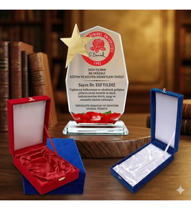 Kristal  kadife kutulu  Dokuzgen Cam Kristal Plaket yıldızlı-istenilen baskıyla