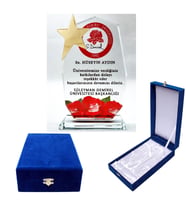 Kristal  kadife kutulu  Dokuzgen Cam Kristal Plaket yıldızlı-istenilen baskıyla