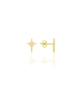 Gümüş Altın Yaldızlı Zirkon Taşlı Kutup Yıldızı Küpe SGTL11482GOLD
