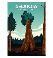 Sequoia Ulusal Parkı Tablo Ahşap Poster Dekoratif