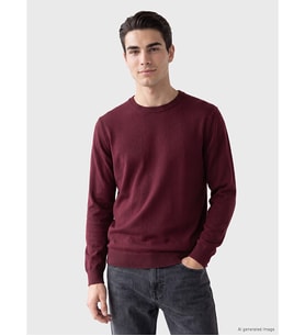 LCWAIKIKI Classic Bordo Bisiklet Yaka Erkek Triko Kazak