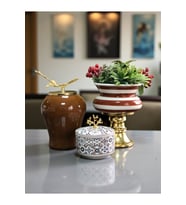 Şah Ceramic Kahverengi Zebra Ayaklı Saksı ve Kutu, Feray Home