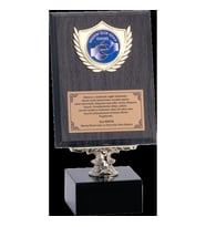 ODAK KUPA - Ahşap Plaketler - PL-010 B - 15x20 cm