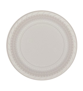 21cm Kullan At Plastik Tabak 500 Adet 