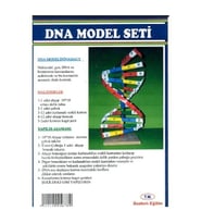Dna Model Yapım Seti