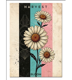 Harvest Bloom Papatya Renkli Afiş Dekoratif Kanvas - Mdf Ahşap Tablo