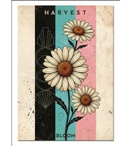Harvest Bloom Papatya Renkli Afiş Dekoratif Kanvas - Mdf Ahşap Tablo