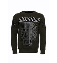 Yeşil Baskılı Taşlı Bisiklet Yaka Sweatshirt - Wessi