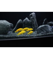 Bazalt kum ( 2 - 3 mm ) 10 kg