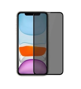 iPhone 16 Pro Max Uyumlu Tam Kaplayan Hayalet Cam Siyah Karartma Ekran Koruyucu Cam Anti-Static Özellikli Siyah Çerçeveli