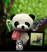 Kişiye Özel Siyah Instagram Çerçeve& Panda Mini Işıklı Kar Küresi& Peluş Panda Hediye Seti