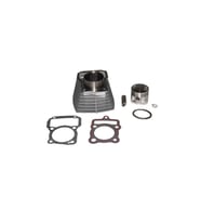 Cg Grubu Silindir Piston Komple Q56,5 15 Perno Gri