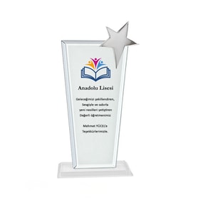 Kristal gümüş metal yıldızlı plaket