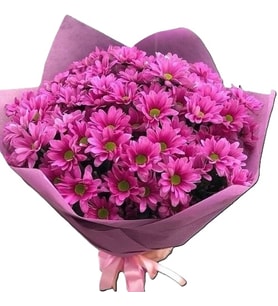 Pembe Papatyalar
