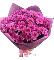 Pembe Papatyalar