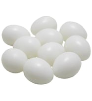 Fit Fly Sahte Yumurta 10 lu Paket 1 cm Muhabbet kanarya için
