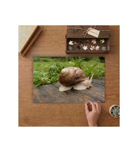 Salyangoz Tasarımı 240 parça Ahşap Puzzle Ahşap Kutuda MP03341
