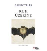 Ruh Üzerine
