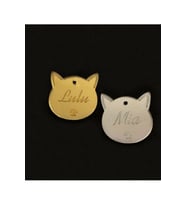 DİKEN Kedi Künye İsimlik Pleksi 2 Adet 3x3 Cm DKM562662