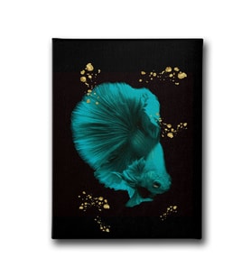 Modern Balık Canvas Tablo MİND309