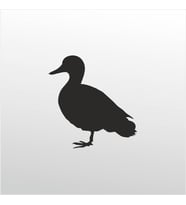 Folyo Sticker Ördek 100cm Uzunluk (Karışık)