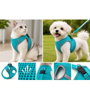Nefes Alan Kumaş Air Mesh Kedi Köpek Göğüs Tasması X Small 32x36 cm Turkuaz