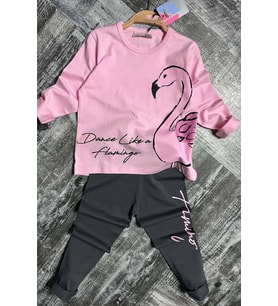 Kız Çocuk Flamingo Baskı ve Yazı Detaylı Pembe Taytlı Takım