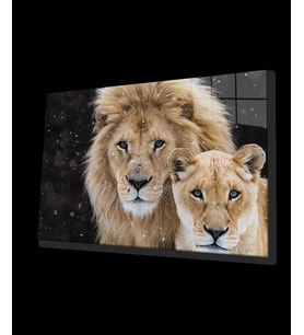 Aslan Hayvan Cam Tablo 4mm Dayanıklı Temperli Cam