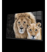 Aslan Hayvan Cam Tablo 4mm Dayanıklı Temperli Cam