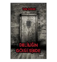 Deliliğin Gölgesinde