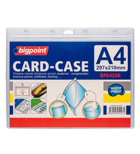 Bigpoint Kilitli Kart Poşeti Yatay A4 (297x210mm) x 10 Adet