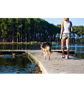 Vario 4 Çok Yönlü Köpek Gezdirme Kayisi Kırmızı