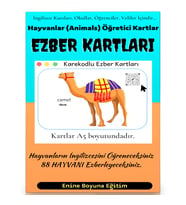 İngilizce Hayvanlar (Animals) Ezber Kartları