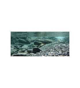 Kanki Pet KP1556531 Akvaryum Arka Fon Yapıştırma 155 x 65 CM