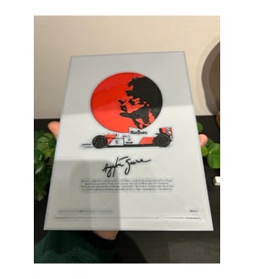 Formula 1 Ayrton Senna Tablosu Dekoratif Ürün 25X15 CM