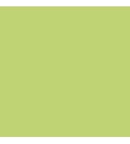 Koh-i-Noor Mondeluz Aquarel Sulu Boya Kalemi Yellowish Green 22