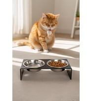 2'li Siyah Pleksi Kedi Ve Köpek Seramik Mama & Su Kabı Paspas Hediye
