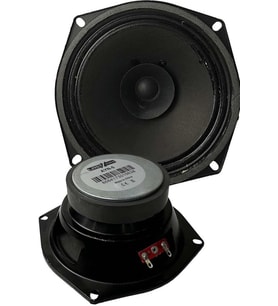 Lastvoice AYN-5 Full Kağıt 60 Watt 8 Ohm 13 cm 5 İnç Hoparlör (Adet)