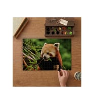 Bambu Yiyen Kızıl Panda Tasarımı 240 parça Ahşap Puzzle Ahşap Kutuda MP05445