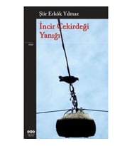 İncir Çekirdeği Yanığı