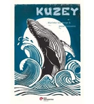 Kuzey