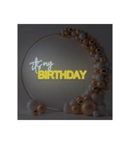 its my BIRTHDAY Yazılı Neon Tabela