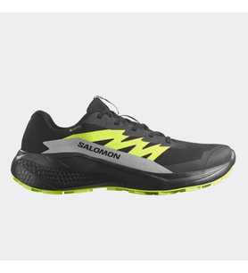 Salomon L47802000 Alphaglide Gore-Tex Erkek Koşu Ayakkabısı