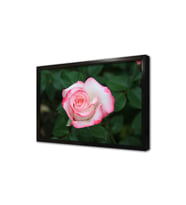 Pembe Gül Çerçeveli Mdf Tablo