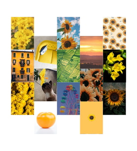Orora Yellow Temalı Poster Duvar Kağıdı Seti-15li-230g-A5