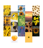 Orora Yellow Temalı Poster Duvar Kağıdı Seti-15li-230g-A5