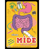 Süper Mide Ve Sindirim Sistemi